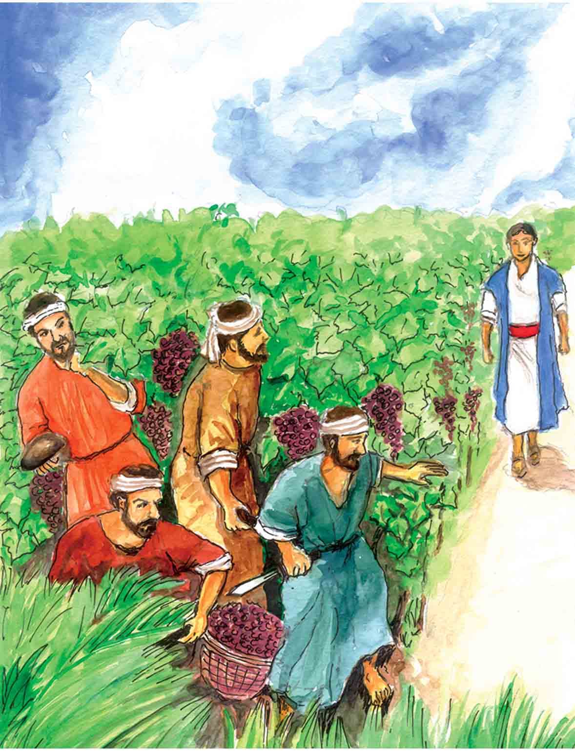 Twenty-Seventh Sunday in Ordinary Time